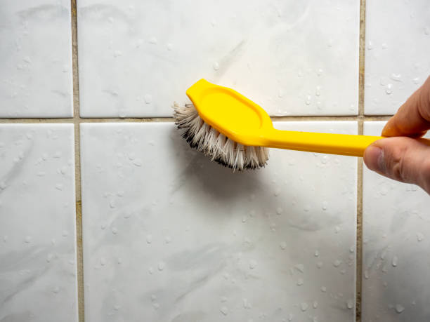Best Affordable Mold Removal  in Lincoln City, OR