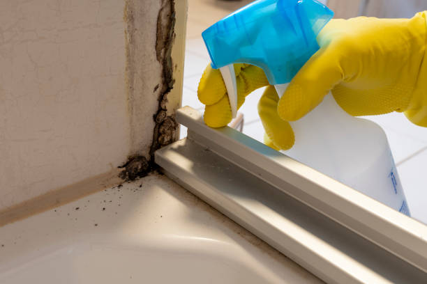 Best Mold Testing  in Lincoln City, OR